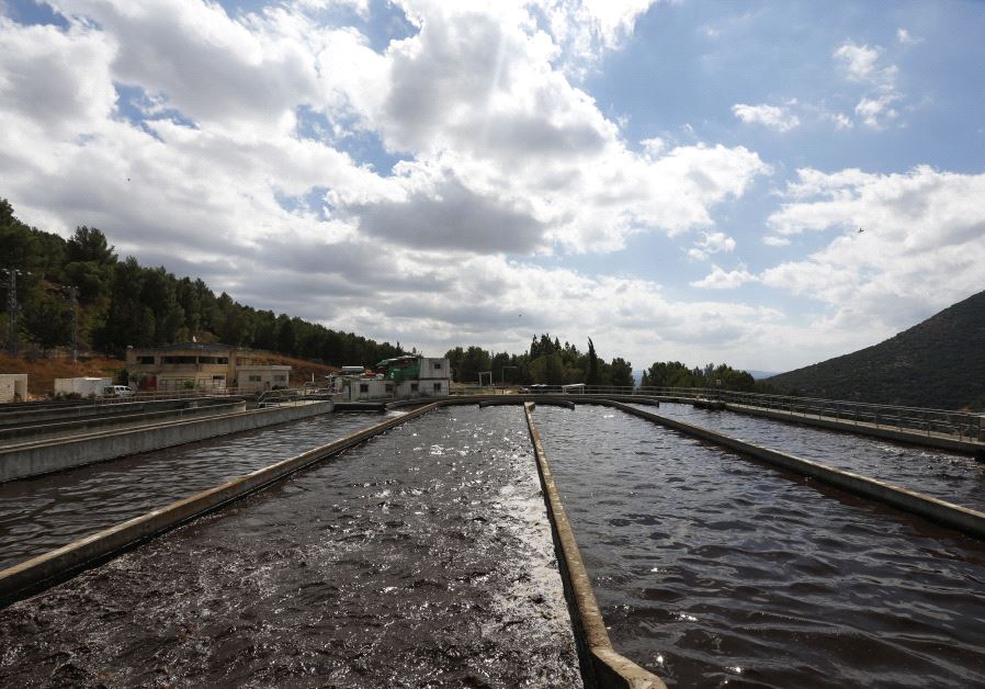 Pools of waste water are seen at a sewage treatment plant in town of Safed in northern Israel
