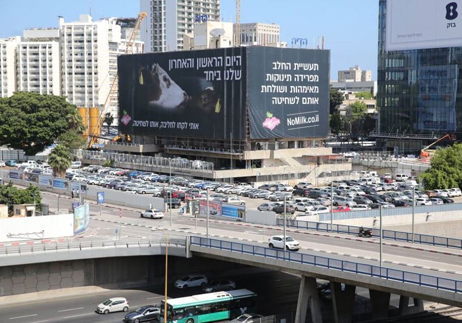 A billboard in Tel Aviv aims to raise compassion for milk cows.