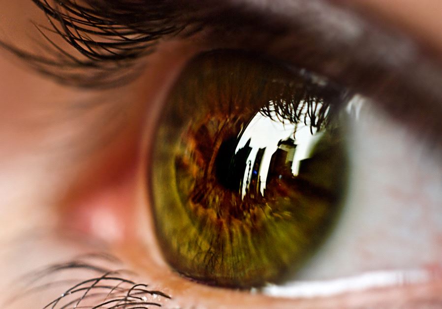 Eyesight (illustrative)