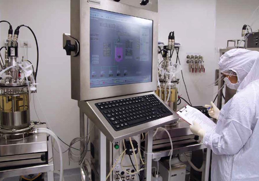 A Pluristem scientist at work.