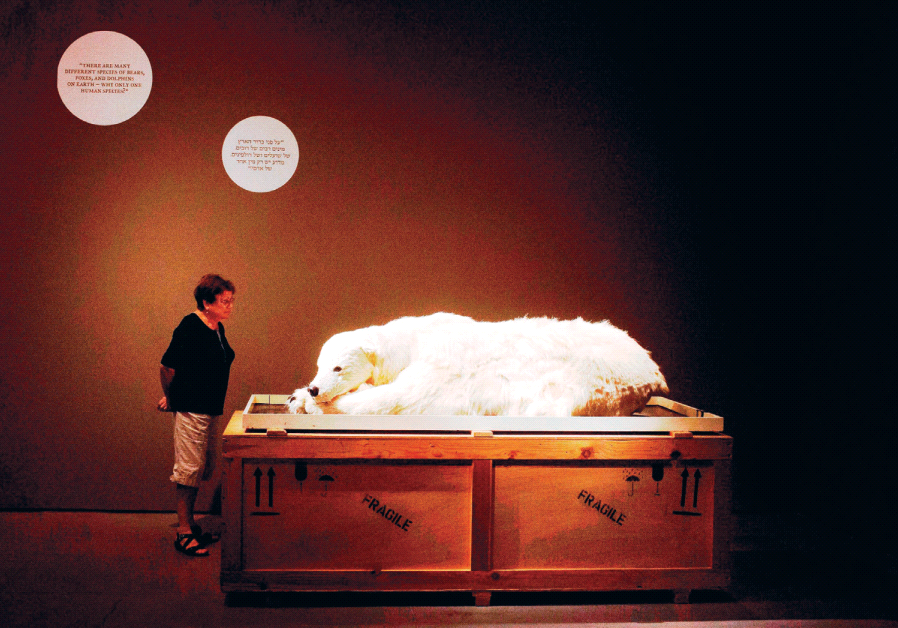 A SCENE from Ran Tal’s documentary ‘The Museum.
